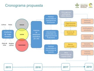 Cadenas de café y cacao adaptadas al clima en el Perú