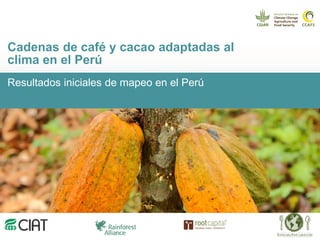 Cadenas de café y cacao adaptadas al clima en el Perú