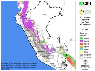 Cadenas de café y cacao adaptadas al clima en el Perú