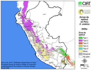 Cadenas de café y cacao adaptadas al clima en el Perú