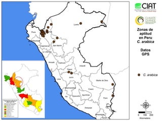 Cadenas de café y cacao adaptadas al clima en el Perú