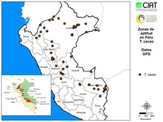 Cadenas de café y cacao adaptadas al clima en el Perú