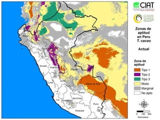 Cadenas de café y cacao adaptadas al clima en el Perú