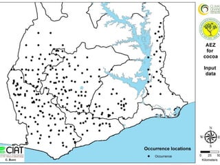 Cadenas de café y cacao adaptadas al clima en el Perú
