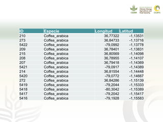 Cadenas de café y cacao adaptadas al clima en el Perú