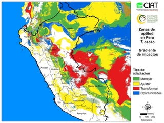 Cadenas de café y cacao adaptadas al clima en el Perú