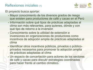 Cadenas de café y cacao adaptadas al clima en el Perú