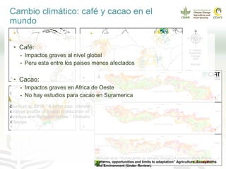 Cadenas de café y cacao adaptadas al clima en el Perú