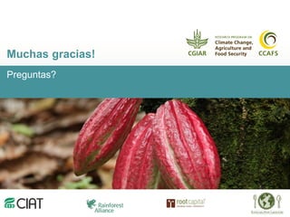 Cadenas de café y cacao adaptadas al clima en el Perú
