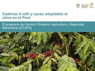 Cadenas de café y cacao adaptadas al clima en el Perú