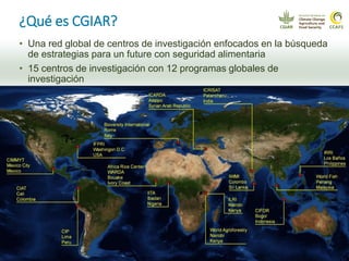 Cadenas de café y cacao adaptadas al clima en el Perú
