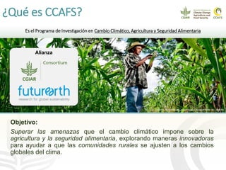 Cadenas de café y cacao adaptadas al clima en el Perú