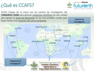 Cadenas de café y cacao adaptadas al clima en el Perú