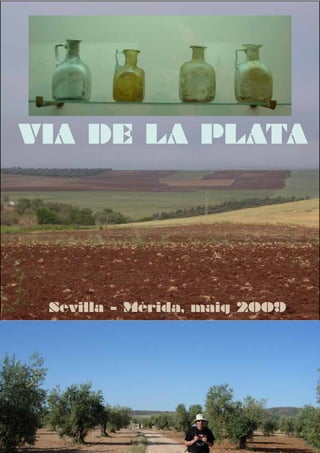 Cs vp 2009 sev mer 21x27