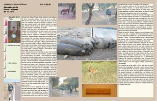 JORNADA 4 tram A (16 km)                                   DIA 16.05.09                       TEMPS   comanada pel la Junta. En parlaré més endavant.
                                                                                                      Per la carretera baixa de tot, fins carros amb senyores
Almadén de la                                                                                         amb faralaes i demés, i un genet digne i solemne. Poc
Plata - el Real                                                                                       abans del poble, en plena pujada, un xalet aïllat, amb
de la Jara                                                                                            molta vegetació al voltant i semi desert per fora on oneja
                                                                                                      una senyera blaugrana: mira, tenim companyia.
                                                                                                      En arribar al poble un senyal de la Junta: l'alberg és cap
 0   Almadén de la        Sis del matí. Diana. Potser el dia que som més matiners                     allà. Dos-cents metres i el trobem. És el primer de la Jun-
     Plata                en sortir: impossible passar per un bar a fer un cafè. I                    ta que trobem. Descobrirem que són magnífics, diria, fins
                          amb el sarau que hi ha... En el silenci de la nit, a les 6 del              i tot, que desaprofitats. El noi (diguem-li Antonio) ens diu
                          matí, ha començat a sonar un timbal i un flabiol. El noi,                   que la noia... i quan aquesta arriba (2') ens atén amable-
                          que deu acomplir amb la més estricta tradició, ha hagut                     ment i amb cert humor (sarcasme) meritori. Ens queixem
 5                        que matinar, per fer llevar als altres que el deuen rebre                   de que ens facin passar per la carretera en aquell es-
                          amb gran alegria ! Impassible, ell va fent.                                 tat, que la Junta es passa, que quan faran un camí,...
                          Sortim. Poble aval fins a la plaça de toros. Creuem un                      Creo que cuando hayan puesto el punte hasta Mallorca...
                          notable hort fotovoltaic (de lluny en veure'l, ahir, pensa-                 Bona. Ens donem per enterats.
                          va que eren hivernacles). Arriba un punt on quasi ens                       Ritual de sempre: dutxes, bugada, posar-se guapo (dei-
10                        perdem, però no. Entrem en la dehesa, la més genuïna.                       xem-ho en net) i a esperar el moment per anar a dinar.
                          Magnífica. Mentre passem veiem els porcs ibèrics -són                       L'únic restaurant possible és a la carretera de Mèrida: a
                          uns animals, he!- que jauen sota d'una alzina. Traves-                      dos km... de sol. L'Antonio s'ofereix: ell va a dinar a casa
                          sem tanques i més tanques, porcs a totes bandes, en                         de la seva mare -cosa dels dissabtes- i ens pot portar.
                          alguns llocs cabres, algun gos, i algun guarda endormis-                    Gràcies, som-hi. ens deixa a la porta del restaurant.
15
                          cat. Llarg camí ample i ondulat, alguna rampa curta i in-                   Restaurant de carretera. Menestra, salpicón de marisc,
                          fernal, algun corriol suau. Al final de tot, quan ja pregues                peix, llengua de vaca i tot el demés. Antonio ens ha dit
     El Real de la Jara                                                                               que si a les quatre, quan torni, som a la carretera ens
                          per arribar a algun lloc i la gana apreta, s'arriba a la pla-
                          na, pista ample i còmoda, vaques a cada banda, algun                        torna a l'alberg. Perfecte. Ens recull. Alberg i migdiada.
                          toro cepat. El poble no arriba mai.                                         Intent de passejada pel poble durant la tarda. Calor. De-
20
                          A la fi, darrere d'un revolt, el Real de la Jara. Petit, arraulit           sert. Voltem els tres pel centre desert, contemplant l'es-
                          al sol, tranquil. Primer bar -los Claveles-, parada i fonda.                glésia coronada per més de mitja dotzena de nius de ci-
                          Ja hi ha en Manu i en Carles. Tots mengem el mateix,                        gonya. Res a destacar. Quatre fotos. Una cigonya que
                          entrepà de truita de patates amb un pa rar però bo. Manu                    projecta els seus detritus fora del niu. És descoberta,
                          i Carles diuen que segueixen tot i les amenaces de falta                    observem la maniobra i esquivem el risc. Una iaia ens
25
                          de lloc, a veure què passa. Nosaltres consultem el tema                     vigila des de darrere d'una finestra. Després de diverses
                          del taxi -que el dia abans semblava impossible- i ens el                    voltes trobem un bar. Dos seguim voltant, ara més lluny.
     San Isidoro                                                                                      Ja tornarem.
                          prometen per d'aquí a poc. Mitja hora. Arriba i sortim cap
                          a ... No en té ni punyetera idea. On no el porti el Tom Tom                 JL s'instal•la en el bar obert. L'únic. Més tard hi anem.
                          no sap anar-hi. Ens guiem per la cartografia i mapes de                     Local antic, desangelat. Serveixen quatre coses i prou,
30
                          la Junta. Després descobrirem amb horror que no servei-                     com al racionamiento. Decoració original: quadres amb
                          xen més que per embolicar-la! Va a buscar l'autovia -gra-                   les races de porc ibèric, les de gallines espanyoles, les
     Monesterio
                          tuïta-, fem una pila de km i sortim. Comencem a ficar-nos                   de vaques ibèriques i un quadret-orla d'un senyor ano-
                          per les carreteres petites, un poble -Calera de León-,                      menat Francisco Franco. Com era d'esperar no vam fer
                          preguntem, ens il•lustren (malament) i ens fiquem per la                    cap comentari, no anéssim a provocar una nova batussa.
35
                          carreterilla que no toca. Finalment desco-                                  Mentre, va aparèixer un individu amb aspecte de señorito
                          brim... que no anem bé. Agafen una altra                                    i de militar al que tots feien la gara-gara i del que hi havia
                          carretera i trobem un riuet que deu ser.. .Sí.                              dues fotos amb el nom i tot -que no recordo- penjades a
                          A la fi un lloc que quadra amb el mapa. Pa-                                 la paret, amb les gallines i els porcs. Cames ajudeu-me.
                          guem i adéu.                                                                A l'alberg falta gent.
40
                          Comença una marxa fatigosa a ple sol:
                          són les dotze del migdia. Queden 6 km fins
                          a Fuente de Cantos per una carretera de
                          trànsit notable -és dissabte de romeria-,
                          sense cuneta ni cap mena de protecció per
45
                          al caminant en tot el tram. I és una ruta re-
 