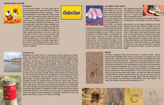 QUATRE GATS I UN CAMÍ
                   El Colacao                                                                                                    Les ungles i altres lesions
                   Jo (no) sóc aquell negrito... Fa anys, molts, que no                                                        Els problemes dels cami- que l’esquerre (llavors no
                   prenc Colacao. Quins temps aquells! Per aques-                                                              nants poden ser de tota a la vista) no ho estava, i
                   tes terres castellanes (quines?, quantes?,...) hi ha                                                        mena, però són els peus va fer posat de “carai, per
                   un percentatge de consumidors de Colacao nota-                                                              el lloc on més s’en produ- què a mi...?!”, però el que
                   ble. I entre els caminants també. Recordo Cliona                                                            eixen i amb més freqüèn- més el sorprenia és que
                   —Logroño, 2007— demanant al mateix temps un                                                                 cia. Anar ben calçat i amb ell, al peu dret, en tenia dues d’ungles negres... i
                   tinto de verano i un Colacao per berenar. José és un                                                        l’equipament adequat és en dits alterns ! A Alemanya, a ell, això no li passa!
                   dels consumidors (habitual?) de Colacao, si més                                                             la millor garantia per evi-
                   no aquests dies. Cada matí, mentre nosaltres pre-                                                           tar-ne molts. La vaselina Molts dies al sol pot causar problemes a la pell.
                   nem el tallat, ell demana un Colacao, a voltes amb                                                          evita les ampolles, un del Recordo com al camí francès, el 2006, tot el dia
                   una pasta. I em fa un xic d’enveja. Cada dia, quan                                problemes més comuns. Santa Maria de Goretex caminant cap a l’oest, s’em cremava el braç es-
                   el sento demanar, noto una fiblada d’enveja i em                                  combat les humitats (si ets portuguès pots fer ser- querre, i solia anar amb una màniga posada i l’al-
                   vénen ganes de demanar-ne un per mi, però mai                                     vir directament plàstic, es veu). Walter, un cop as- tra no. Nicky, que és rossa centre europea, anava
                   m’he atrevit a fer-ho. Aquí surt el tímid que por-                                sentada ja la confiança bàsica, va preguntar-me, amb la punta del nas ben cremada de feia dies:
                   to dintre i que tan sovint es manifesta. I mantinc                                ja com fent un excés, si a mi se’m posaven les color de xocolata. Vaig oferir-li crema protectora.
                   l’hàbit del tallat i no el canvio mai pel Colacao. I                              ungles negres. 1) Hi estic pocs dies i per tant cor- Amb molta discreció va agafar el tub petit (una
                   si cal cacao prefereixo la xocolata negra que, si                                 ro menys risc. 2) Altres anys n’he tingut. 3) Tinc mostra de farmàcia!) i que devia estar quasi buit.
                   puc, prenc al matí. Cadascú el que li toca. Però...                               entès que pot ser a causa de micropercussions El darrer dia, amb tons de broma, la vaig obligar
                   Què carai, un dia em prendré un Colacao! Com un                                   continuades del dit amb la part superior de la sa- a quedar-se el tub gran (possiblement caducat,
                   senyor... de Bilbao.                                                              bata (el que s’aprèn escoltant la ràdio!). Va mirar ho sento) que ja cal acabar. Va costar, però el va
                                                                                                     el peu dret nu del veí: estava bé. No es va adonar agafar.

                   Camins de riu                                                                                               Bestiari
                   M’agraden els camins de riu. En conec pocs, però la majoria són interes-                                    Els altres J asseguren haver vist per Zamora —un parell de cops— alguna
                   sants. I els camins dels grans rius em resulten especialment atractius, fas-                                mena de cabra salvatge, isard, cérvol, o el que sigui. La veritat és que no he
                   cinants: Ebre, Duero,... Home, res a veure amb els Ripoll, Mogent, Besòs,                                   tingut la sort, i reconec que no hi entenc. Si que hem vist petjades (tant mirar
                   Llobregat... que ja conec. La llargada dels primers és equivalent a la dels                                 a terra!) de tota mena d’animals... i persones. En dies de poca pluja o no tant
                   grans senders i dels llargs camins a Santiago. I tenen avantatges: no van a                                 abundant com els primers, quan el temps ens ho permetia i podíem fer fotos,
                   Santiago, poca gent, no tenen pàtina religiosa en la seva base o discurs nar-                               els rastres animals eren un bon entreteniment, però la falta de coneixements
                   ratiu, són molt més còmodes pel que fa als desnivells (se suposa), són bidi-                                de tots plegats era decebedor. Poc o molt la del senglar la reconec, o això
                   reccionals... Però, em temo, que el nivell adequat de serveis és molt menor i,                              creia. La que queda clara és la del cavall, amb la ferradura. La petjada dels
                   per tant, més cars i incòmodes en general. A Zamora hem coincidit uns pocs                                  humans també era un dels entreteniments, i la que varem afinar va ser la de
                   km amb el camí del Duero (km 500, posava la fita miliària). Em sorprèn que,                                 Nicky, la única que no portava sola Vibram, que solen ser totes molt similars
                   tot i les inversions que s’han fet en senyalització i comunicació (pel molt poc                             i característiques. També la parella amb el gos, que els vam clavar. Però el
                   que he vist, moltíssima més senyalització que en els de Santiago), siguin,                                  que hi ha -als pobles- són gats, molts gats, potser més que altres anys. En
                   aparentment, uns grans desconeguts. Suposo que deu ser en relació a la                                      canvi pocs gossos. Ara, per bestiari, el dels jardins: nans, llops, àligues, ..tot
                   quantitat d’usuaris, tan desigual entre el CS francès i tota la resta. O senzi-                             i més, fins arribar a l’arca de Noe de Roales del Pan.
                   llament que no se’n parla tant. La Via de la Plata, que està en una posició de
                   segon ordre quant a gent, té unes condicions geofísiques molt complicades
                   per assolir càrregues puntuals massa elevades: la calor al tram sud en tem-
                   porada alta especialment. Possiblement tenen més opcions d’èxit el camins
                   horitzontals (est-oest, cas de l’Ebre i el Duero) que els verticals (nord-sud)
                   encara que siguin menys contrastats. Em plantejo i guardo per al futur els
                   grans camins de riu, ja que no tot acaba a Santiago.
 