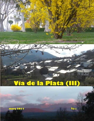 Via de la Plata (III)



març 2011           2j...
 