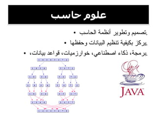 علوم حاسب تصميم وتطوير أنظمة الحاسب . يركز بكيفية تنظيم البيانات وحفظها . برمجة، ذكاء اصطناعي، خوارزميات، قواعد بيانات، . 