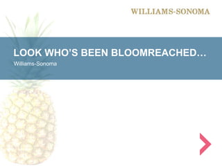 LOOK WHO’S BEEN BLOOMREACHED…
Williams-Sonoma
 