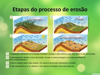 1 2 
3 4 
1 A vegetação, sobretudo as formações florestais, protege o solo contra a ação dos ventos e das enxurradas. 
O desmatamento facilita o inicío da erosão: chuvas e ventos carregam a camada superficial do 
solo, empobrecendo-o. 
2 
O solo é atingido pelos raios 3 solares. Os ventos e as chuvas intensificam a erosão. 
4 O solo assemelha-se a um deserto e não oferece condições como área agrícola. 
LUIS MOURA / ARQUIVO DA EDITORA 
Etapas do processo de erosão 
 