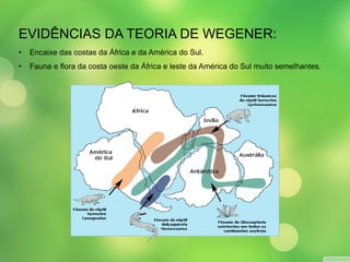 EVIDÊNCIAS DA TEORIA DE WEGENER: 
• Encaixe das costas da África e da América do Sul. 
• Fauna e flora da costa oeste da África e leste da América do Sul muito semelhantes. 
 