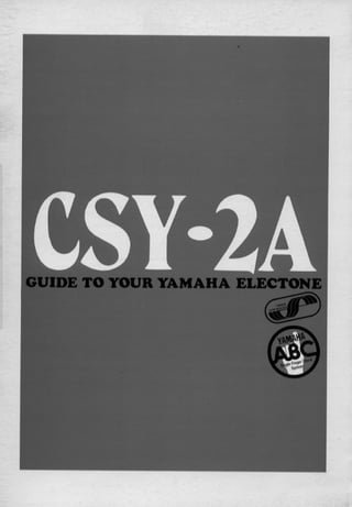 CSY-2 AE
