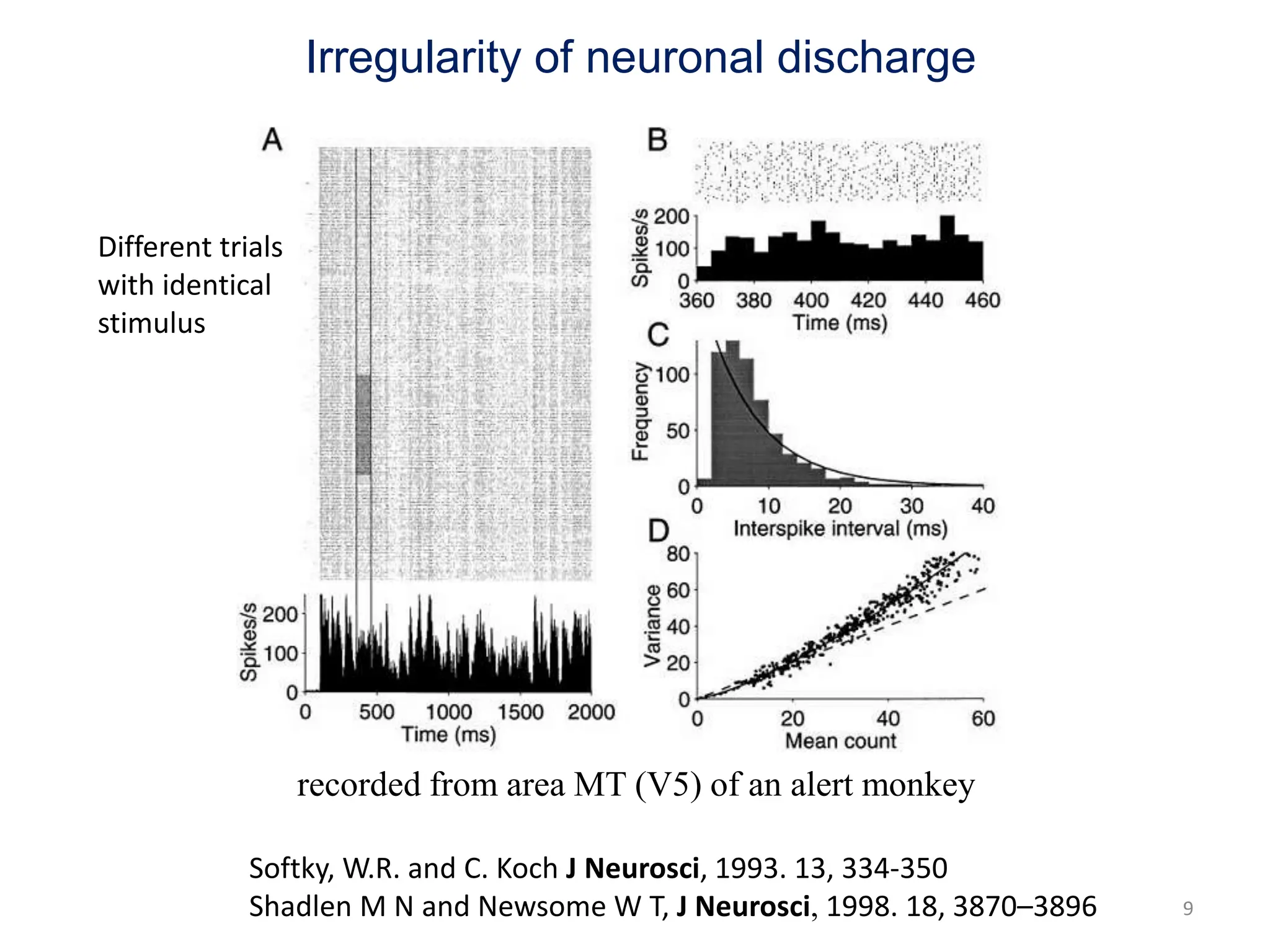 Irregularity of neuronal discharge
9
recorded from area MT (V5) of an alert monkey
Softky, W.R. and C. Koch J Neurosci, 1993. 13, 334-350
Shadlen M N and Newsome W T, J Neurosci, 1998. 18, 3870–3896
Different trials
with identical
stimulus
 