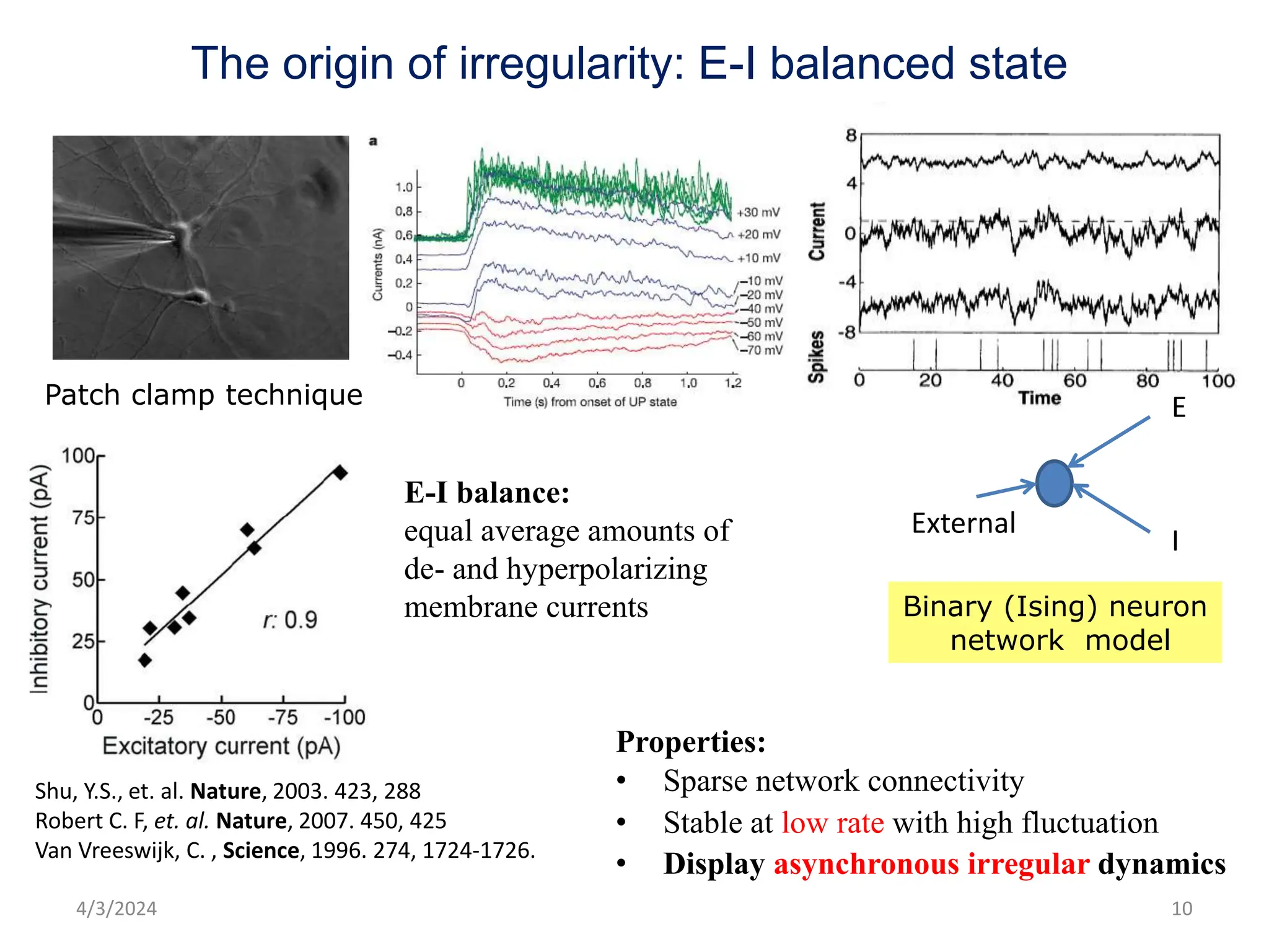 The origin of irregularity: E-I balanced state
E-I balance:
equal average amounts of
de- and hyperpolarizing
membrane currents
Shu, Y.S., et. al. Nature, 2003. 423, 288
Robert C. F, et. al. Nature, 2007. 450, 425
Van Vreeswijk, C. , Science, 1996. 274, 1724-1726.
Properties:
• Sparse network connectivity
• Stable at low rate with high fluctuation
• Display asynchronous irregular dynamics
10
Patch clamp technique
External
E
I
Binary (Ising) neuron
network model
4/3/2024
 