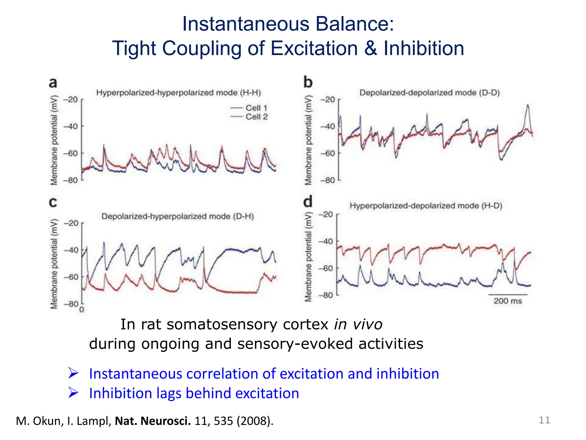 Instantaneous Balance:
Tight Coupling of Excitation & Inhibition
 Instantaneous correlation of excitation and inhibition
 Inhibition lags behind excitation
In rat somatosensory cortex in vivo
M. Okun, I. Lampl, Nat. Neurosci. 11, 535 (2008).
during ongoing and sensory-evoked activities
11
 