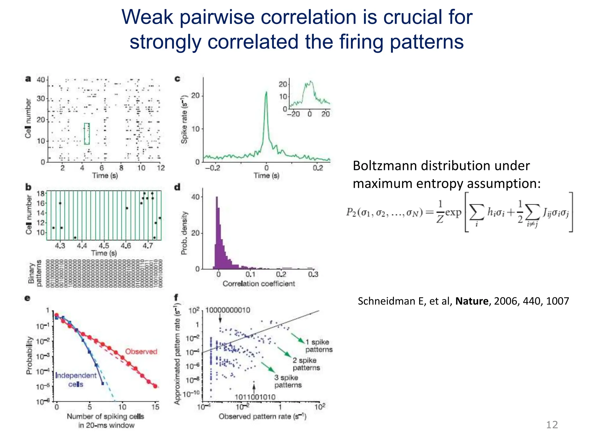 Weak pairwise correlation is crucial for
strongly correlated the firing patterns
Boltzmann distribution under
maximum entropy assumption:
Schneidman E, et al, Nature, 2006, 440, 1007
12
 
