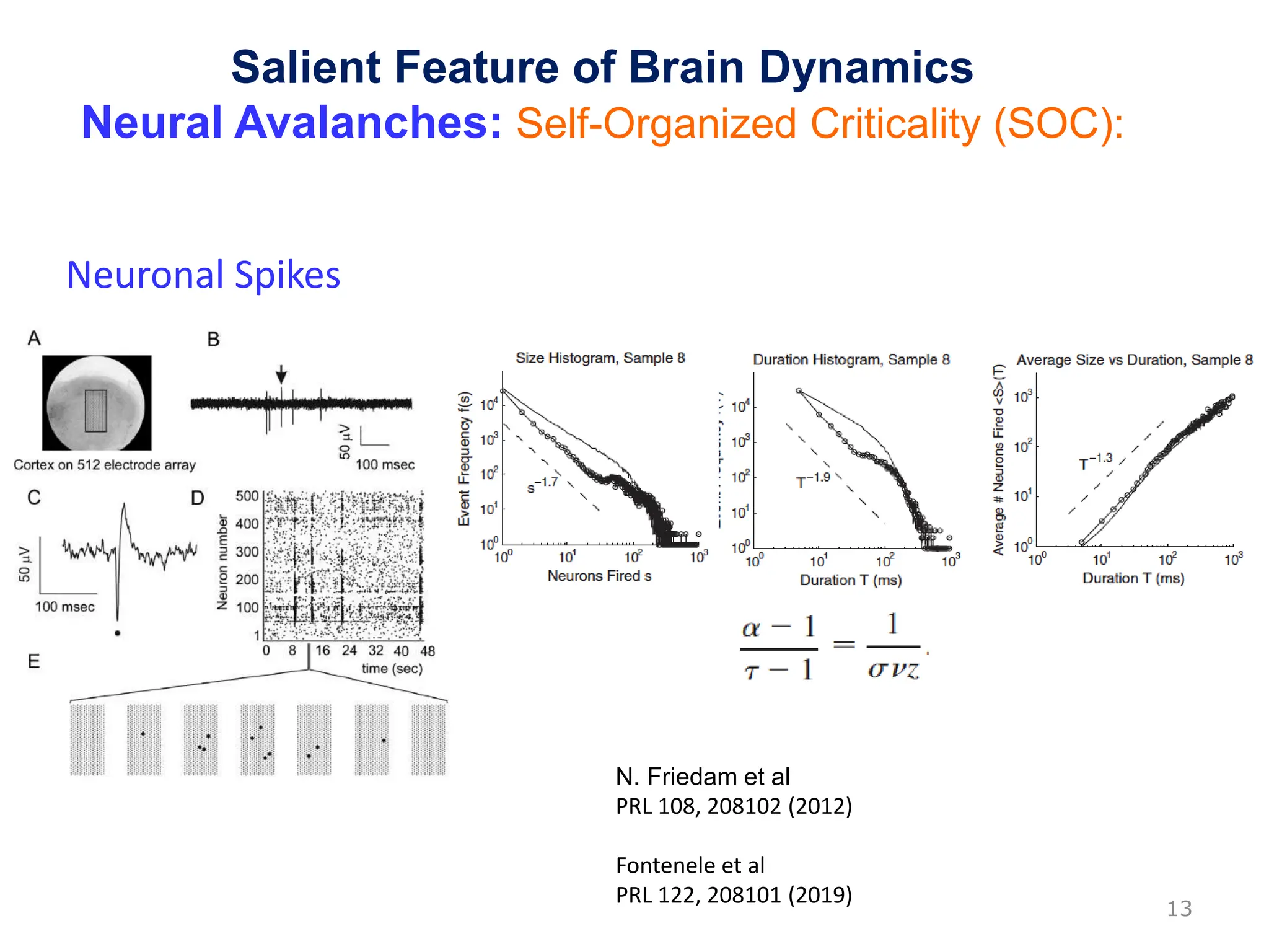 N. Friedam et al
PRL 108, 208102 (2012)
Fontenele et al
PRL 122, 208101 (2019)
Salient Feature of Brain Dynamics
Neural Avalanches: Self-Organized Criticality (SOC):
13
Neuronal Spikes
 