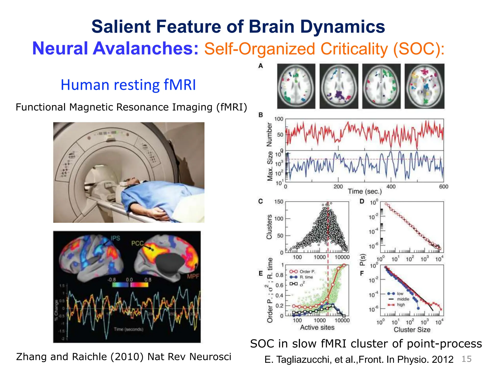 15
SOC in slow fMRI cluster of point-process
E. Tagliazucchi, et al.,Front. In Physio. 2012
Zhang and Raichle (2010) Nat Rev Neurosci
Functional Magnetic Resonance Imaging (fMRI)
Human resting fMRI
Salient Feature of Brain Dynamics
Neural Avalanches: Self-Organized Criticality (SOC):
 