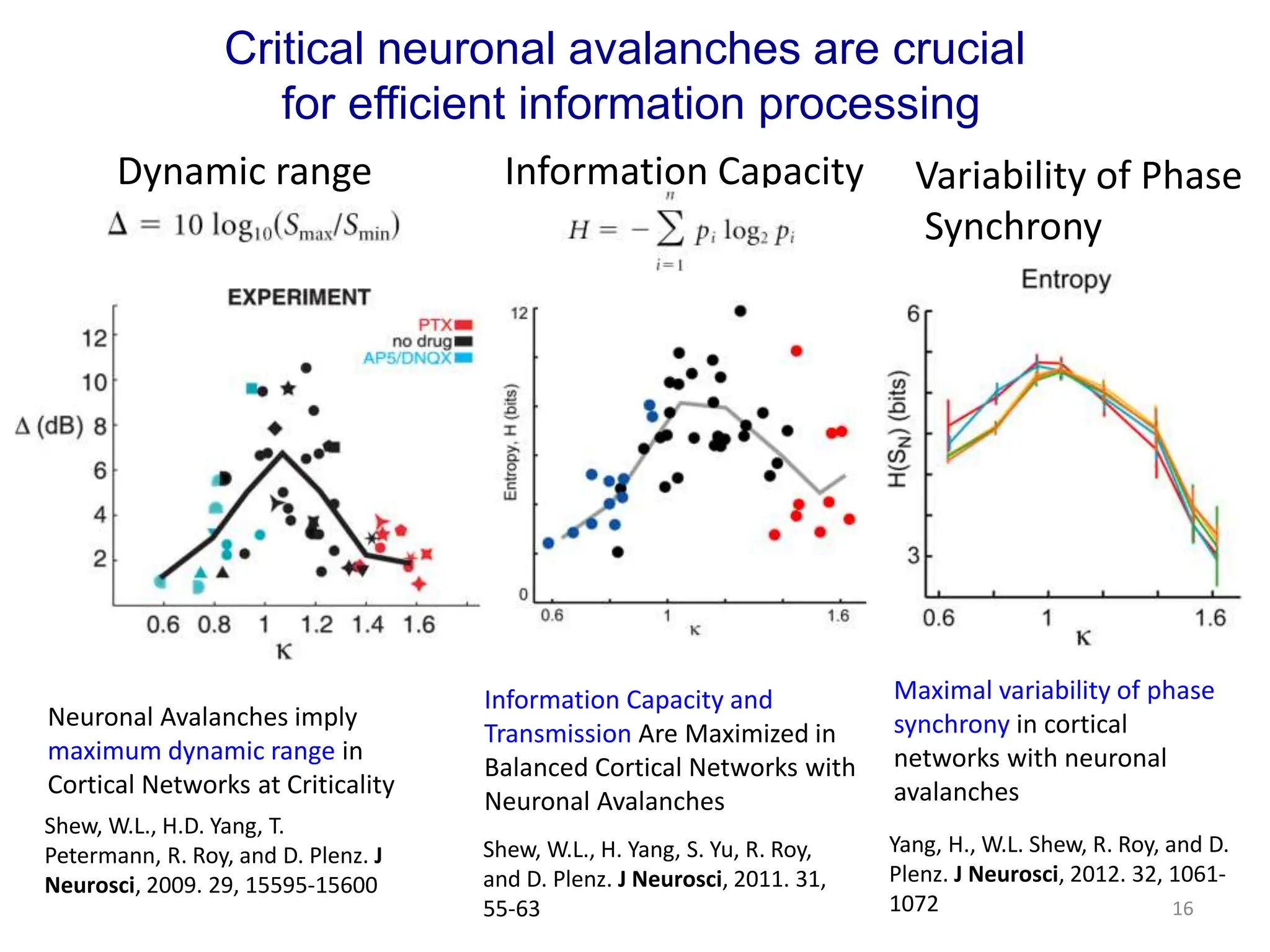 Critical neuronal avalanches are crucial
for efficient information processing
Dynamic range Information Capacity Variability of Phase
Synchrony
Neuronal Avalanches imply
maximum dynamic range in
Cortical Networks at Criticality
Shew, W.L., H.D. Yang, T.
Petermann, R. Roy, and D. Plenz. J
Neurosci, 2009. 29, 15595-15600
Information Capacity and
Transmission Are Maximized in
Balanced Cortical Networks with
Neuronal Avalanches
Shew, W.L., H. Yang, S. Yu, R. Roy,
and D. Plenz. J Neurosci, 2011. 31,
55-63
Maximal variability of phase
synchrony in cortical
networks with neuronal
avalanches
Yang, H., W.L. Shew, R. Roy, and D.
Plenz. J Neurosci, 2012. 32, 1061-
1072 16
 