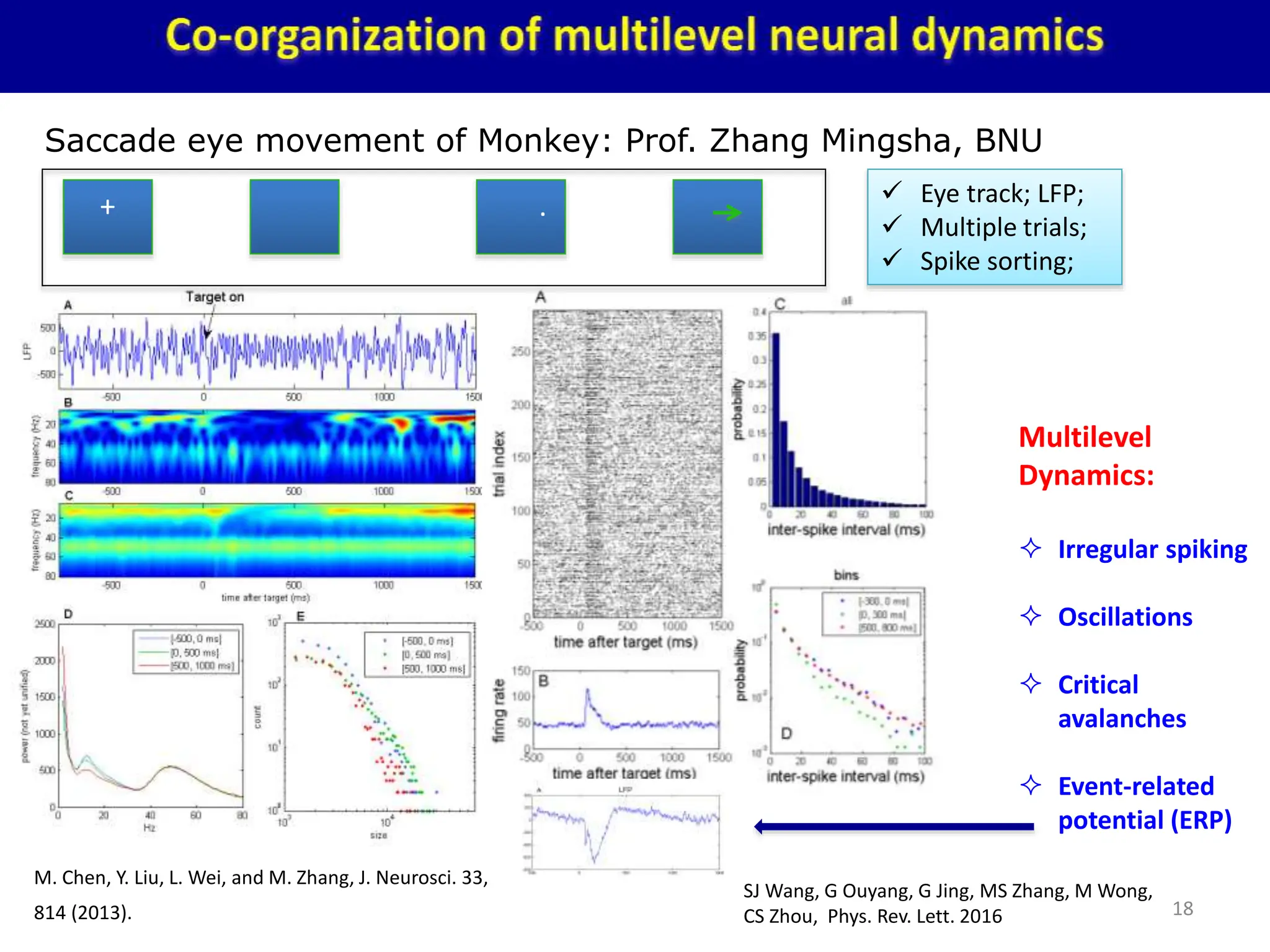 18
Saccade eye movement of Monkey: Prof. Zhang Mingsha, BNU
+ .  Eye track; LFP;
 Multiple trials;
 Spike sorting;
Multilevel
Dynamics:
 Irregular spiking
 Oscillations
 Critical
avalanches
 Event-related
potential (ERP)
M. Chen, Y. Liu, L. Wei, and M. Zhang, J. Neurosci. 33,
814 (2013).
SJ Wang, G Ouyang, G Jing, MS Zhang, M Wong,
CS Zhou, Phys. Rev. Lett. 2016
 