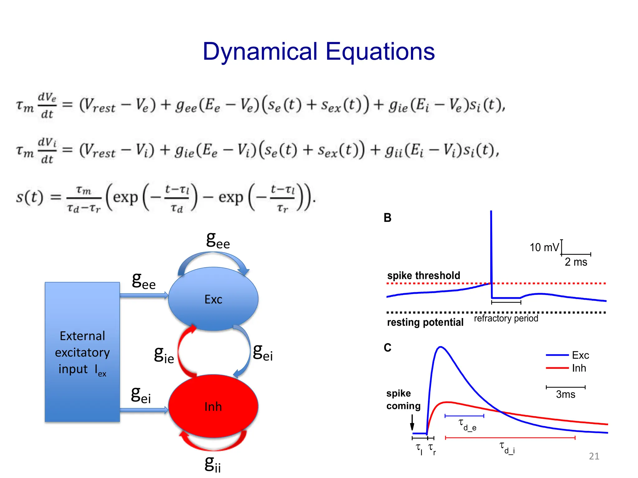 Dynamical Equations
Exc
Inh
External
excitatory
input Iex
=( )+ ( ) ( )
+ ( )
=( )+ ( ) ( )
+ ( )
gee
gii
gei
gie
gee
gei
Evolving Equations for potentials:
(t)=
(t)=
Time courses of synaptic conductance:
Exc
Inh
3ms
C
spike
coming
l r
d_e
d_i
spike threshold
resting potential
2 ms
10 mV
B
refractory period
21
 