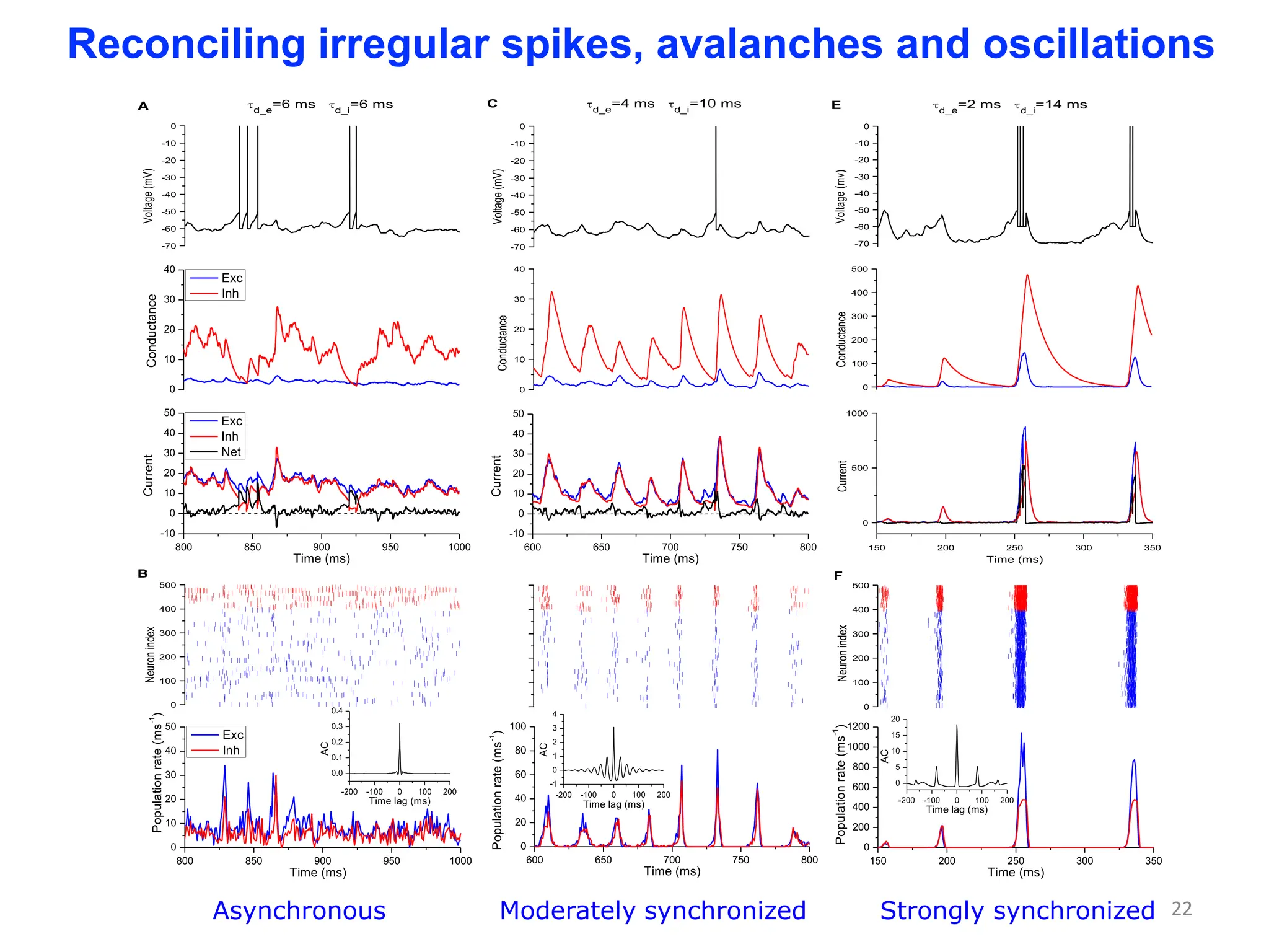 Reconciling irregular spikes, avalanches and oscillations
Asynchronous Moderately synchronized Strongly synchronized 22
 