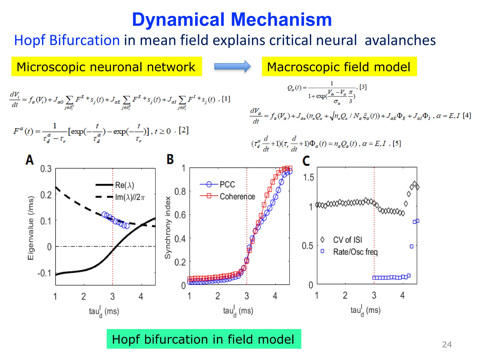 24
Dynamical Mechanism
Hopf Bifurcation in mean field explains critical neural avalanches
Microscopic neuronal network Macroscopic field model
Hopf bifurcation in field model
 