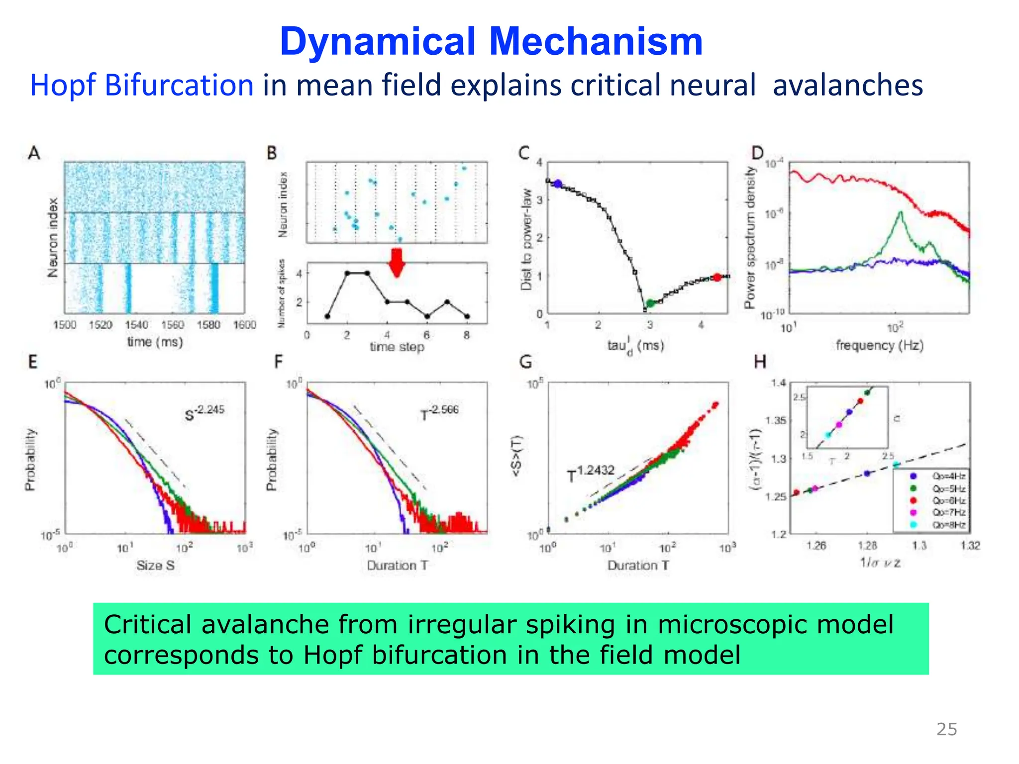 25
Critical avalanche from irregular spiking in microscopic model
corresponds to Hopf bifurcation in the field model
Dynamical Mechanism
Hopf Bifurcation in mean field explains critical neural avalanches
 