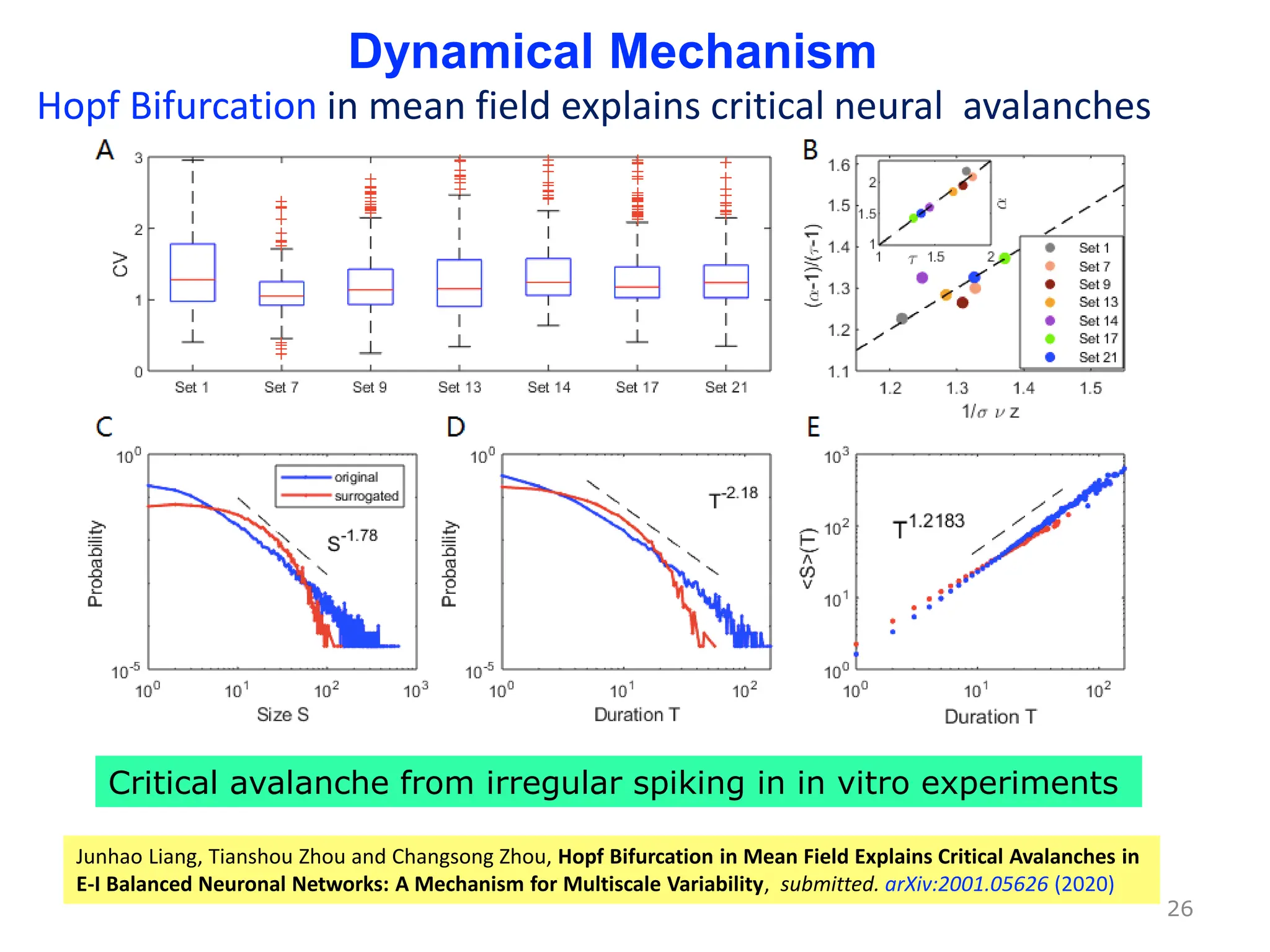26
Critical avalanche from irregular spiking in in vitro experiments
Junhao Liang, Tianshou Zhou and Changsong Zhou, Hopf Bifurcation in Mean Field Explains Critical Avalanches in
E-I Balanced Neuronal Networks: A Mechanism for Multiscale Variability, submitted. arXiv:2001.05626 (2020)
Dynamical Mechanism
Hopf Bifurcation in mean field explains critical neural avalanches
 