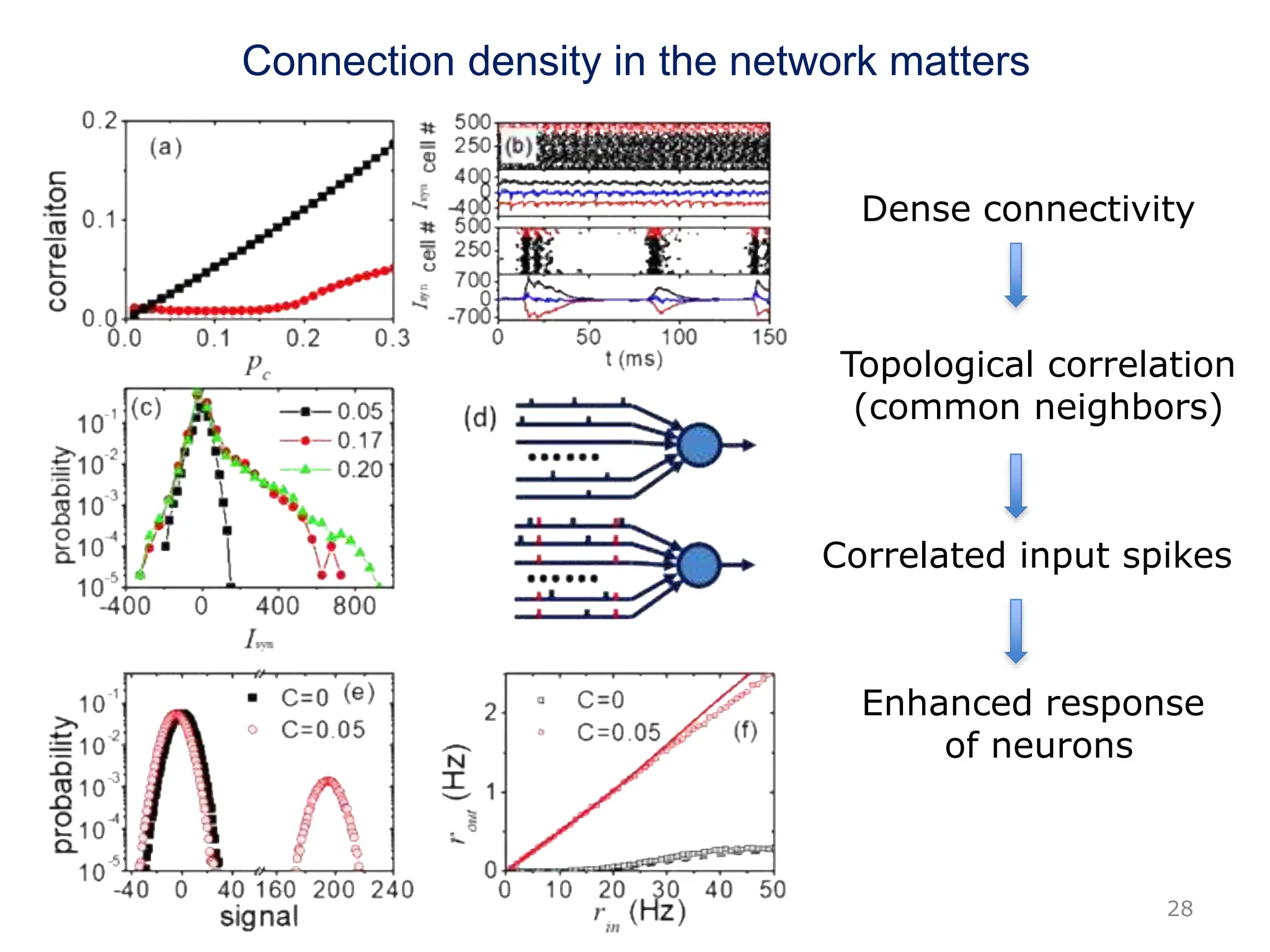 28
Connection density in the network matters
Dense connectivity
Topological correlation
(common neighbors)
Correlated input spikes
Enhanced response
of neurons
 