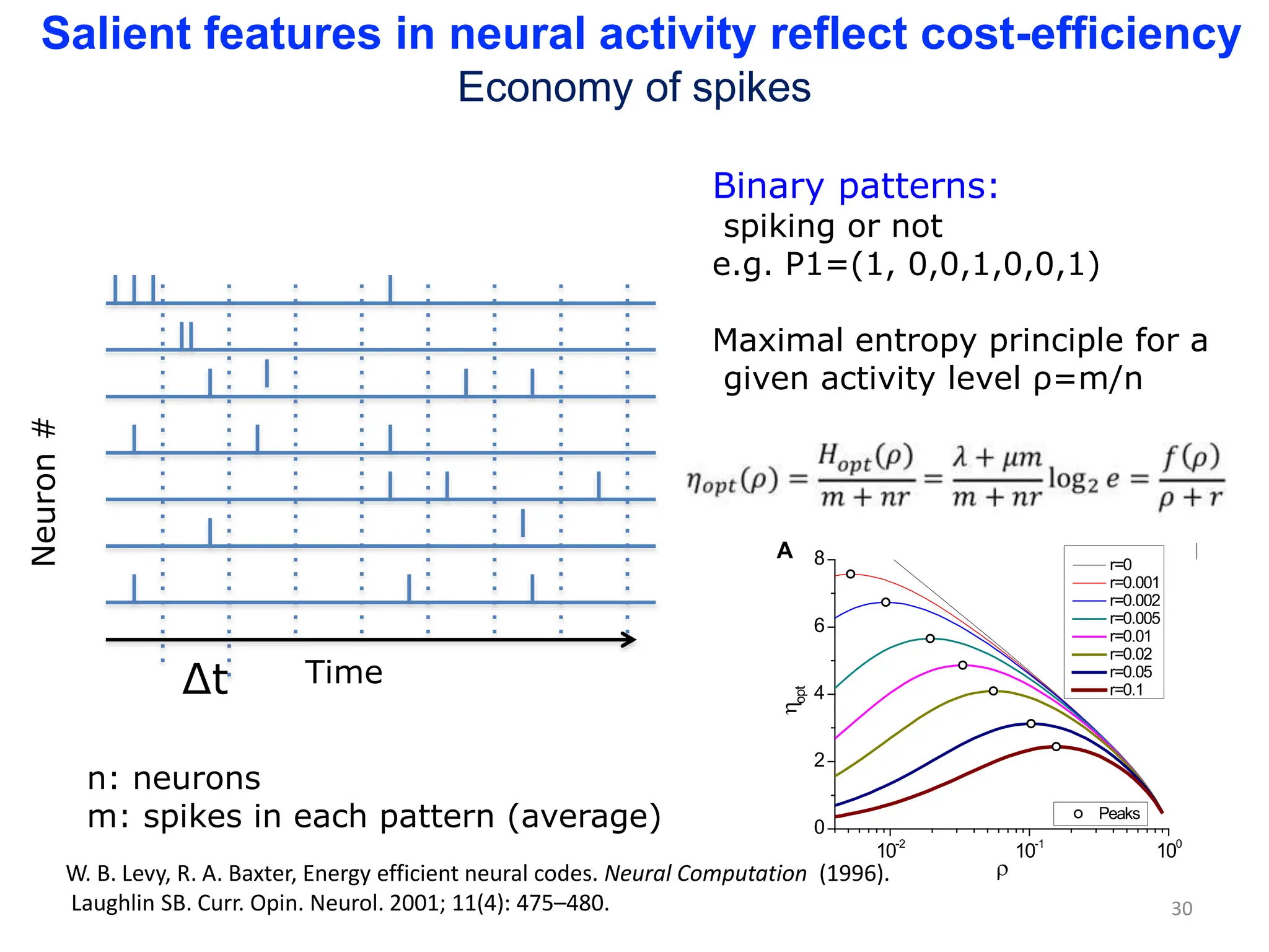 Time
Neuron
#
Δt
n: neurons
m: spikes in each pattern (average)
W. B. Levy, R. A. Baxter, Energy efficient neural codes. Neural Computation (1996).
Laughlin SB. Curr. Opin. Neurol. 2001; 11(4): 475–480. 30
Salient features in neural activity reflect cost-efficiency
Economy of spikes
Binary patterns:
spiking or not
e.g. P1=(1, 0,0,1,0,0,1)
Maximal entropy principle for a
given activity level ρ=m/n
 