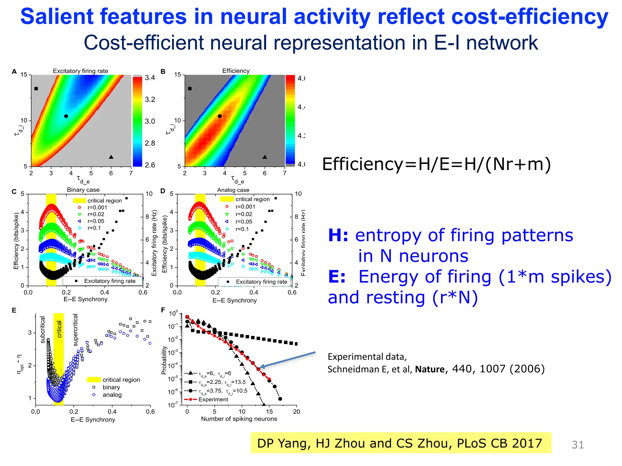 31
H: entropy of firing patterns
in N neurons
E: Energy of firing (1*m spikes)
and resting (r*N)
Efficiency=H/E=H/(Nr+m)
DP Yang, HJ Zhou and CS Zhou, PLoS CB 2017
Salient features in neural activity reflect cost-efficiency
Cost-efficient neural representation in E-I network
Experimental data,
Schneidman E, et al, Nature, 440, 1007 (2006)
 
