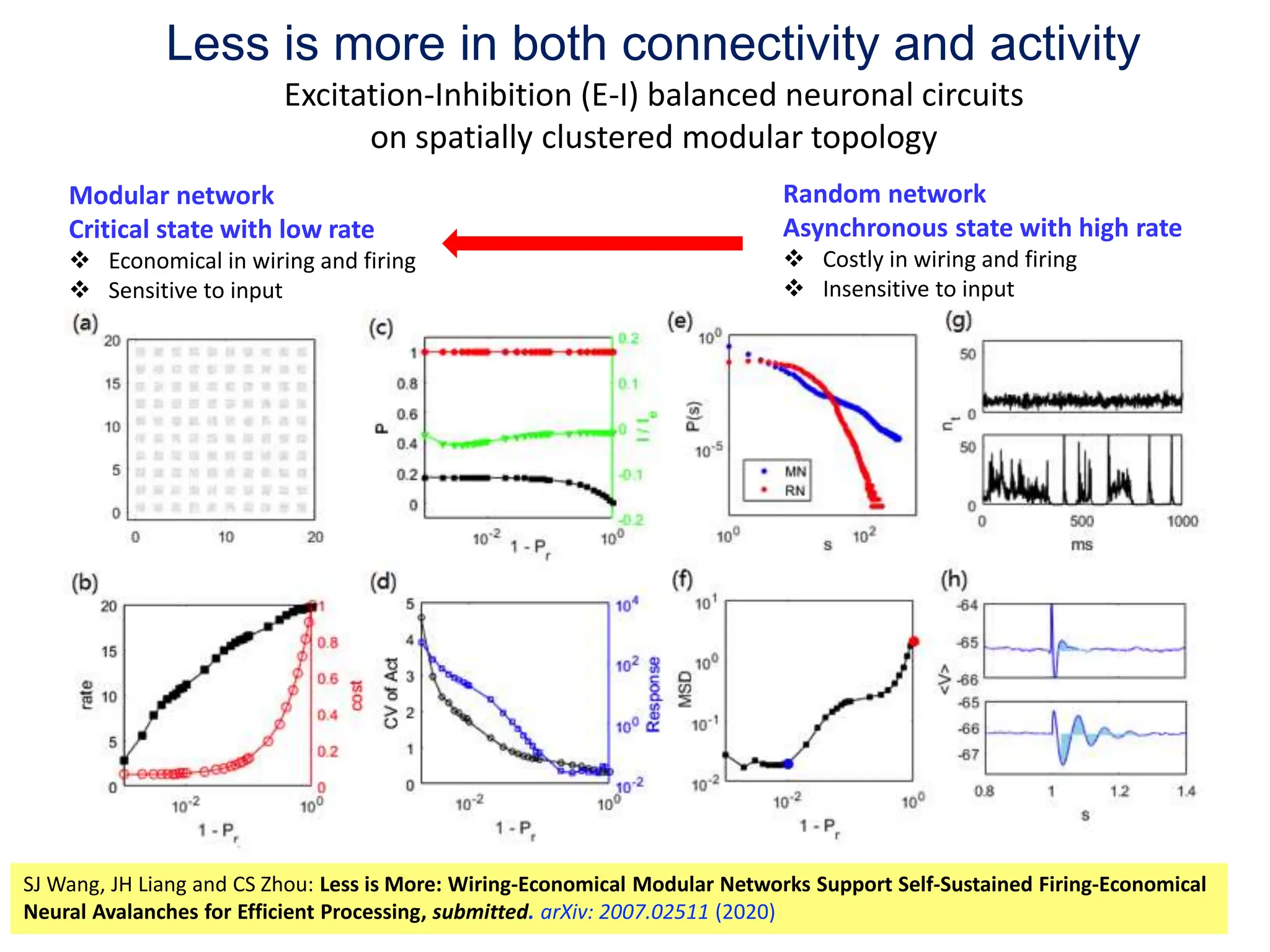 Less is more in both connectivity and activity
Excitation-Inhibition (E-I) balanced neuronal circuits
on spatially clustered modular topology
Random network
Asynchronous state with high rate
 Costly in wiring and firing
 Insensitive to input
Modular network
Critical state with low rate
 Economical in wiring and firing
 Sensitive to input
32
SJ Wang, JH Liang and CS Zhou: Less is More: Wiring-Economical Modular Networks Support Self-Sustained Firing-Economical
Neural Avalanches for Efficient Processing, submitted. arXiv: 2007.02511 (2020)
 
