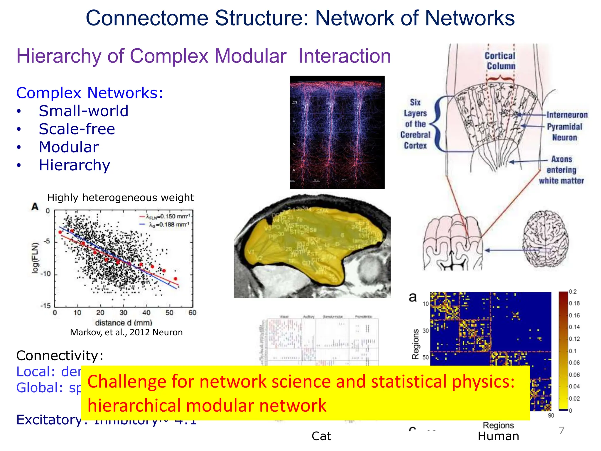 Connectome Structure: Network of Networks
Connectivity:
Local: dense (0.1-0.2)
Global: sparse (10-7-10-6)
Excitatory: Inhibitory~ 4:1
Hierarchy of Complex Modular Interaction
7
Complex Networks:
• Small-world
• Scale-free
• Modular
• Hierarchy
Cat Human
Challenge for network science and statistical physics:
hierarchical modular network
Markov, et al., 2012 Neuron
Highly heterogeneous weight
 