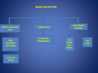 IMAGE RECEPTORS
DIRECT EXPOSURE
FILM
SCREEN FILM
ELECTRONIC
SENSORS
IOPA
BITEWING
OCCLUSSAL
EXTRAORAL
PANORAMIC
CCD
CMOS
FLAT
PANEL
PSP
PLATE
A,B,C,D,E
SPEED
 