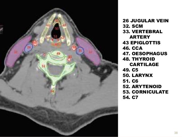 Ct ANATOMY HEAD AND NECK
