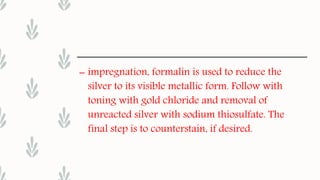 – impregnation, formalin is used to reduce the
silver to its visible metallic form. Follow with
toning with gold chloride and removal of
unreacted silver with sodium thiosulfate. The
final step is to counterstain, if desired.
 