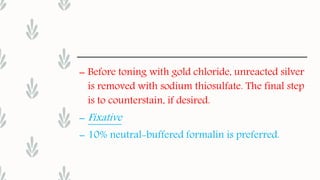 – Before toning with gold chloride, unreacted silver
is removed with sodium thiosulfate. The final step
is to counterstain, if desired.
– Fixative
– 10% neutral-buffered formalin is preferred.
 