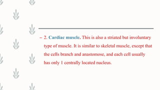 – 2. Cardiac muscle. This is also a striated but involuntary
type of muscle. It is similar to skeletal muscle, except that
the cells branch and anastomose, and each cell usually
has only 1 centrally located nucleus.
 