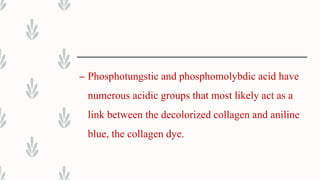 – Phosphotungstic and phosphomolybdic acid have
numerous acidic groups that most likely act as a
link between the decolorized collagen and aniline
blue, the collagen dye.
 